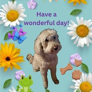 GIVEAWAY + FREE SHIPPING